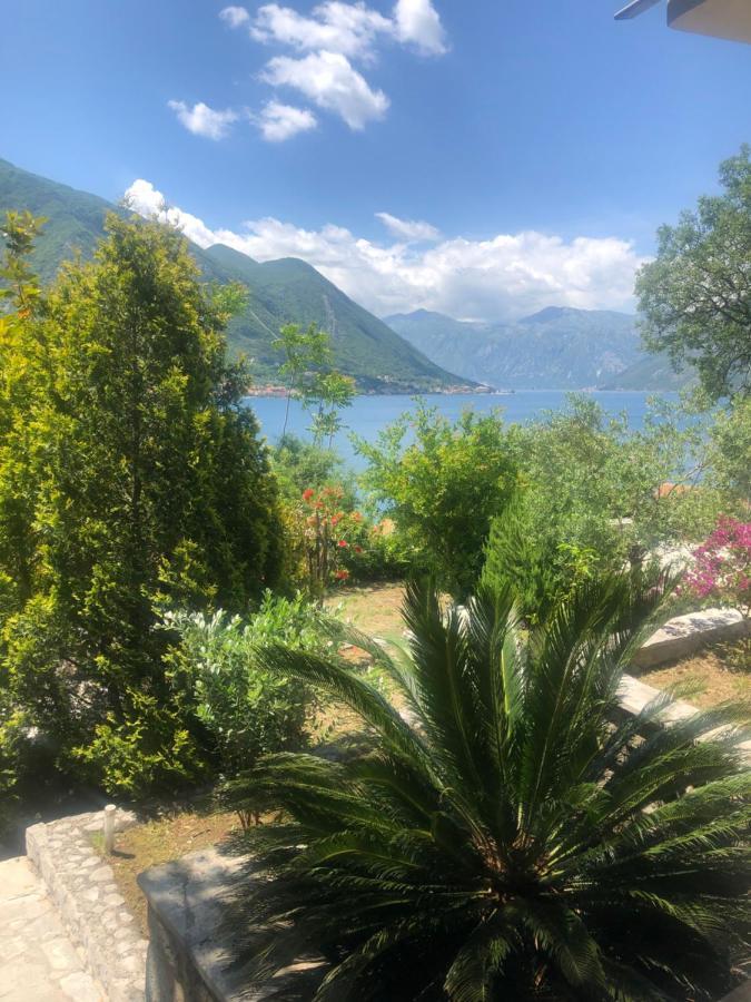 Villa Biskupovic With Stunning Views Kotor Exterior photo
